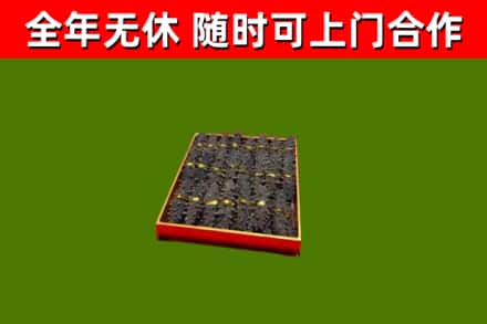 平邑回收海参